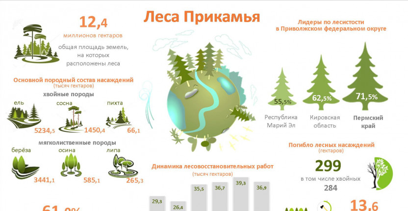 Инфографика. «Леса Прикамья»